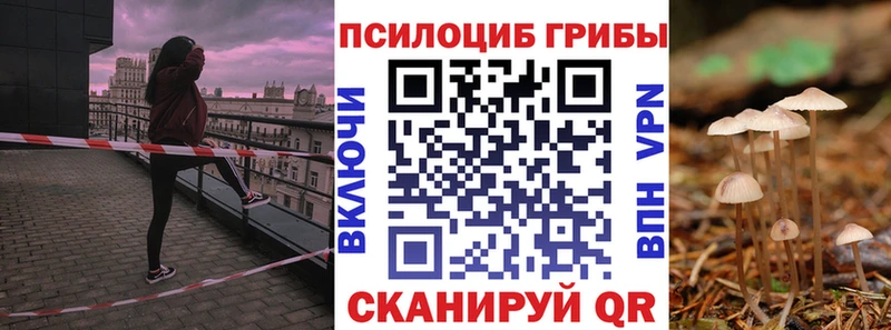 blacksprut ССЫЛКА  Краснокаменск  Галлюциногенные грибы Magic Shrooms  цены наркотик 