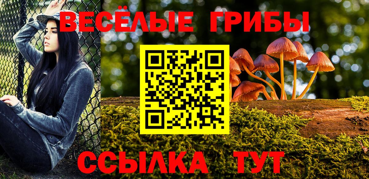 Галлюциногенные грибы ЛСД Краснокаменск