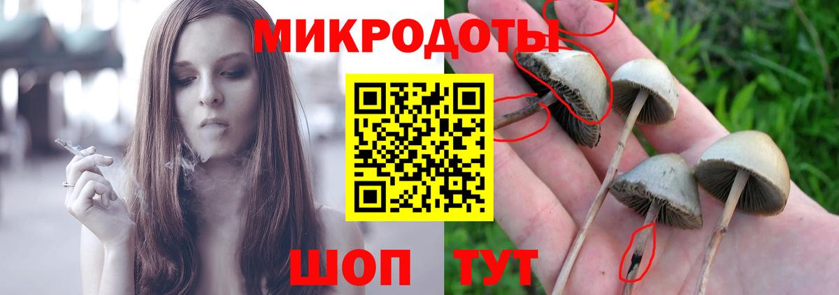 Псилоцибиновые грибы ЛСД  где купить наркоту  Краснокаменск 